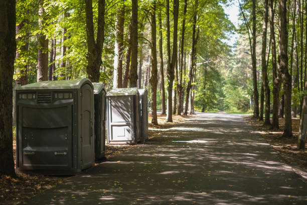 Affordable portable toilet rental in Browntown, PA